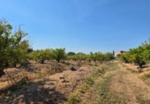 Chalet independiente con terreno en venta en la España, Llíria, ref: TR404315 foto