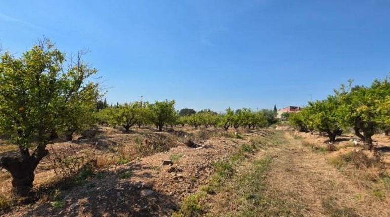 València - Llíria - 22450m2
