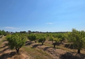 Chalet independiente con terreno en venta en la España, Llíria, ref: TR404315 foto