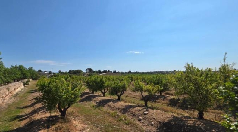 València - Llíria - 22450m2
