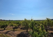 Chalet independiente con terreno en venta en la España, Llíria, ref: TR404315 foto
