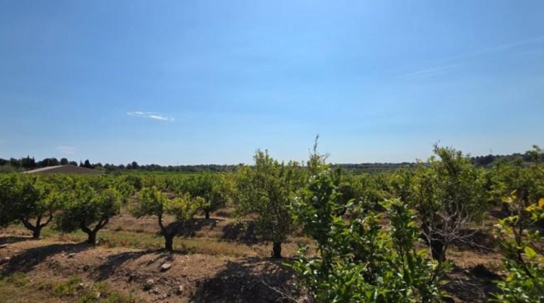 València - Llíria - 22450m2