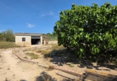 Chalet independiente con terreno en venta en la España, Llíria, ref: TR404315 foto
