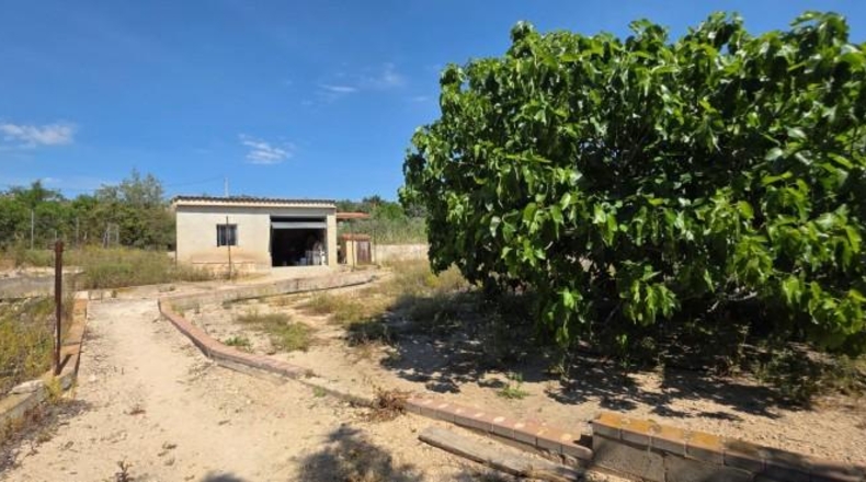 València - Llíria - 22450m2