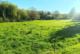Abegondo 4890&nbsp;m²