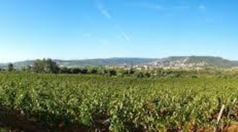 Girona - Calonge - 689m2