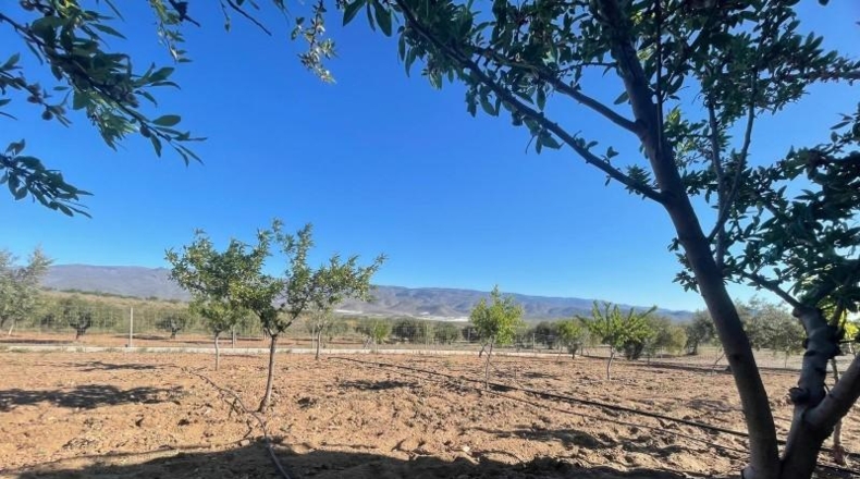 Almería - Alboloduy - 6200m2