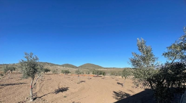 Almería - Alboloduy - 6200m2