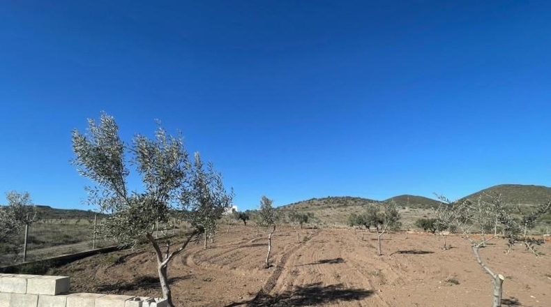 Almería - Alboloduy - 6200m2