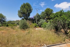 Alzira 1005&nbsp;m²