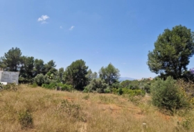 Alzira 1005&nbsp;m²