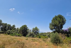 Alzira 1005&nbsp;m²