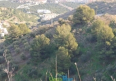 Terreno no urbanizable en venta en la España, Almuñécar, ref: TR113227 foto