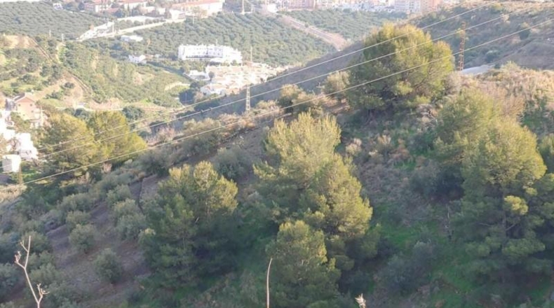 Granada - Almuñécar - 24000m2