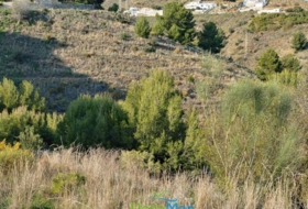 Foto 9