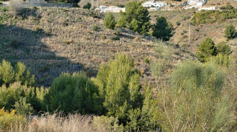 Granada - Almuñécar - 24000m2
