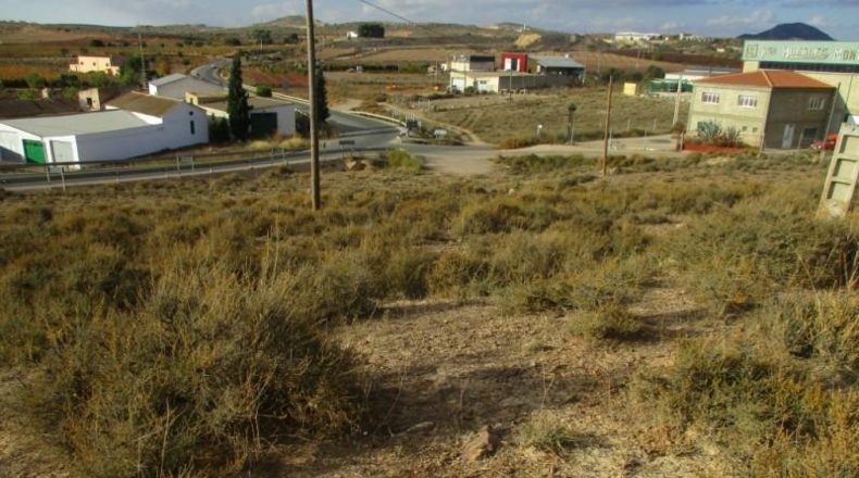 Albacete - Montealegre del Castillo - 11700m2