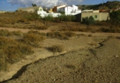 Terreno no urbanizable en venta en la España, Montealegre del Castillo, ref: TR113975 foto