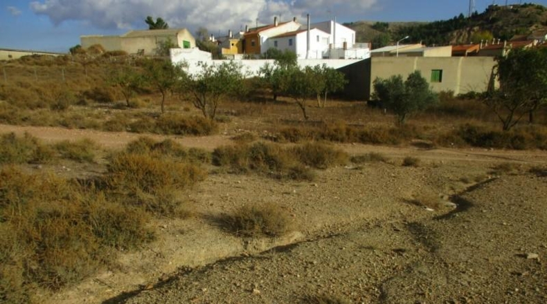 Albacete - Montealegre del Castillo - 11700m2
