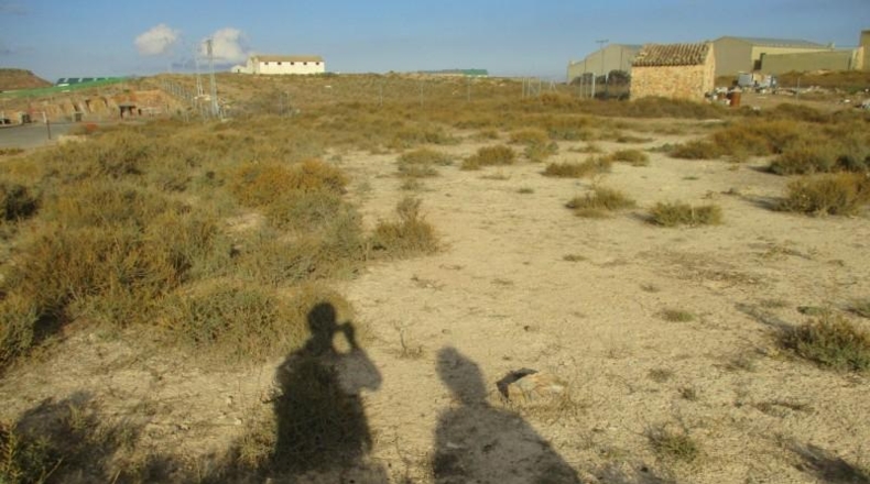 Albacete - Montealegre del Castillo - 11700m2