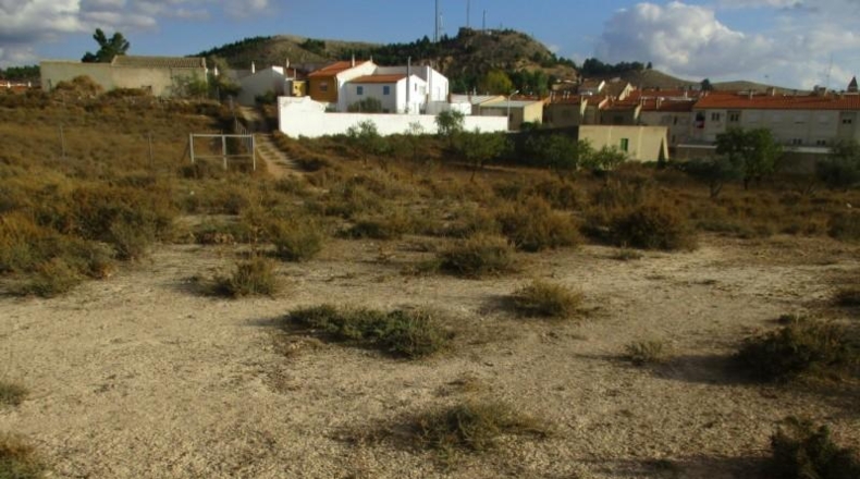Albacete - Montealegre del Castillo - 11700m2