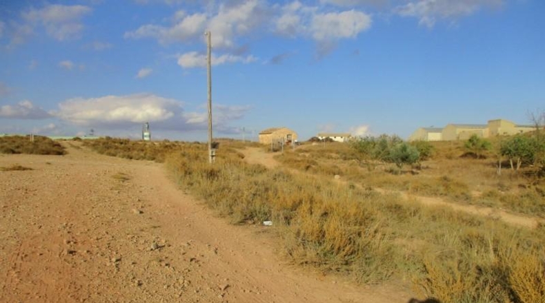 Albacete - Montealegre del Castillo - 11700m2