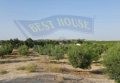 Casa con terreno en venta en la España, Las Torres de Cotillas, ref: TR300626 foto