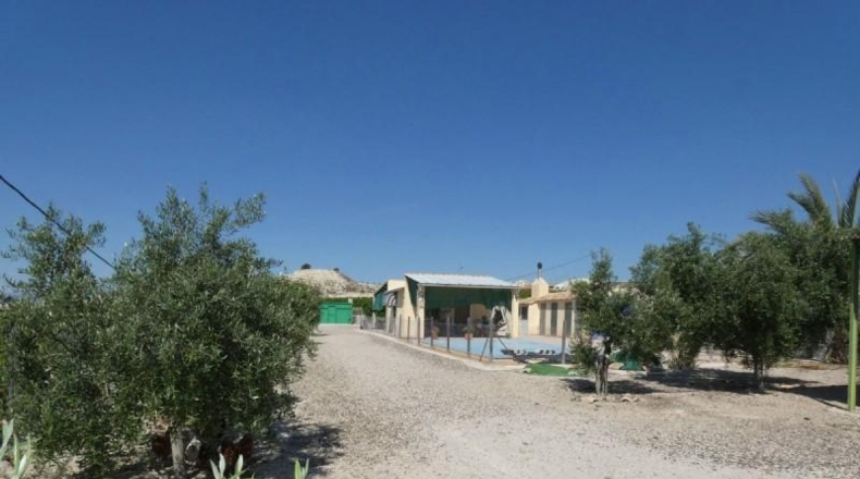 Murcia - Alguazas - 3346m2