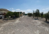 Detached villa with land for sale on España, Alguazas, ref: TR298420 photo