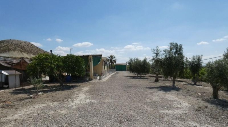 Murcia - Alguazas - 3346m2