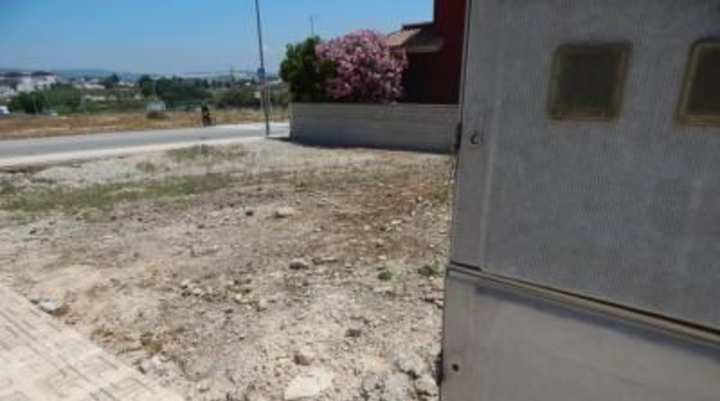 València - Ayelo de Malferit - 319m2