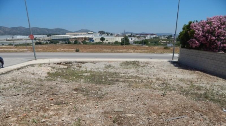 València - Ayelo de Malferit - 319m2