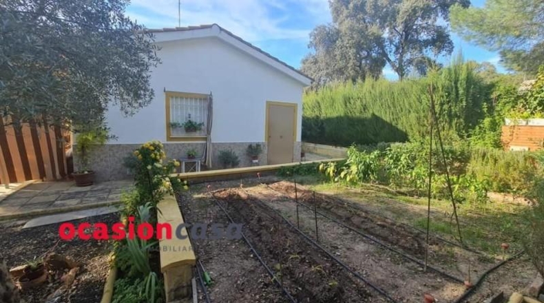 Córdoba - Villaharta - 1140m2
