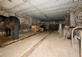 Casa de pueblo en venta en la España, Los Tojos, ref: TR298925 foto