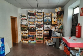 Foto 8