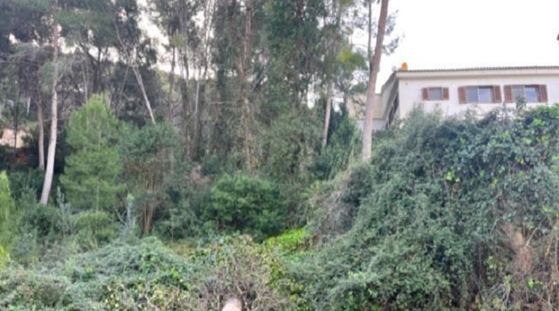 Valencia - Chiva - 1348m2