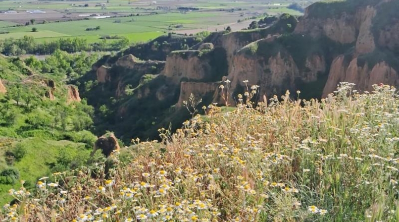 Zamora - Toro - 491m2
