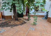 Casa de pueblo en venta en la España, Alcaracejos, ref: TR342669 foto