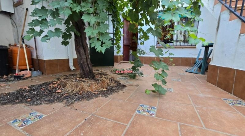 Córdoba - Alcaracejos - 259m2
