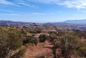 Almogía 25304&nbsp;m²