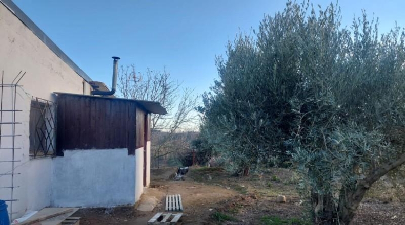 Navarre - Cintruénigo - 4000m2