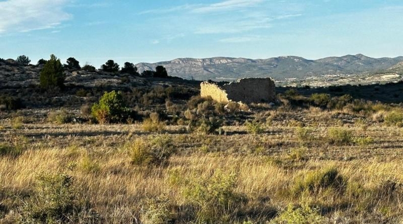 Alicante - Elda - 30427m2