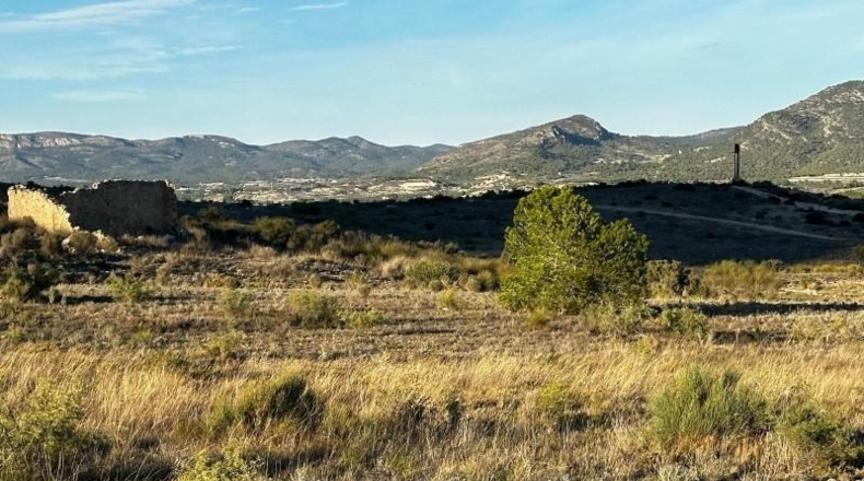 Alicante - Elda - 30427m2
