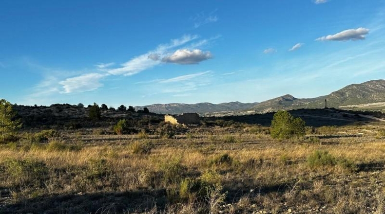 Alicante - Elda - 30427m2