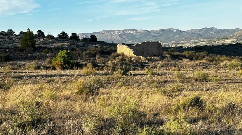 Alicante - Elda - 30427m2
