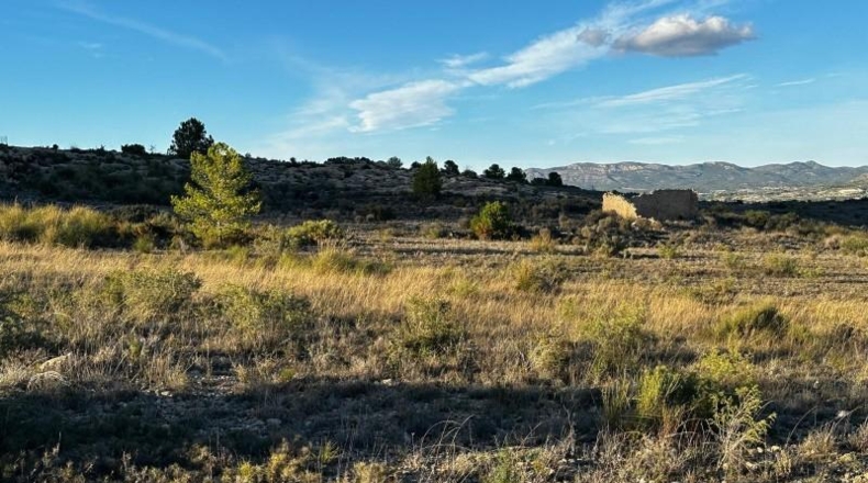 Alicante - Elda - 30427m2