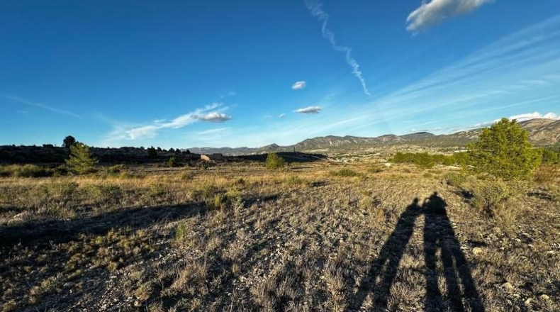 Alicante - Elda - 30427m2