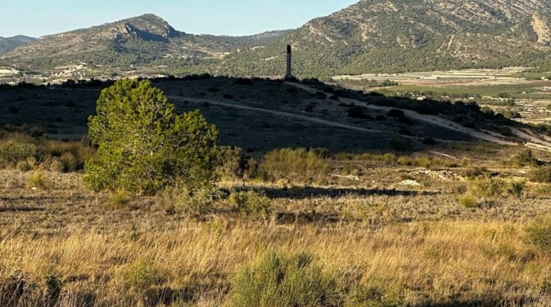 Alicante - Elda - 30427m2
