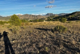 Foto 14