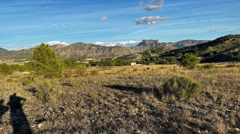 Alicante - Elda - 30427m2